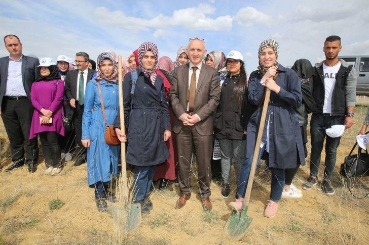 Bayburt Üniversitesi’nde Fidanlar Yeşerecek G5