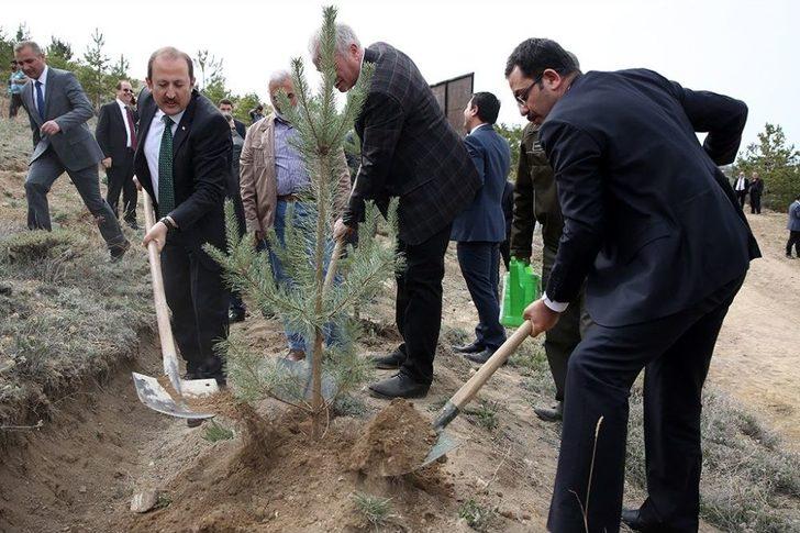 Fırat Kalkanı Ve Zeytin Dalı Harekâtı Şehitleri İçin Hatıra Ormanı Oluşturuldu G5