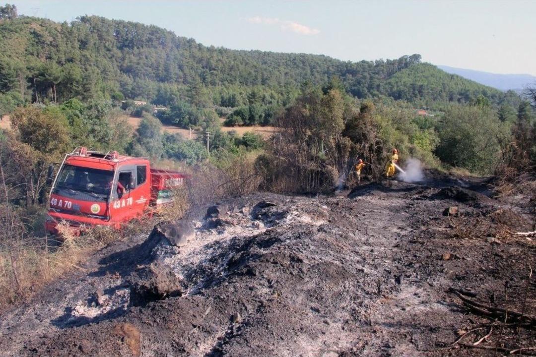 Ula&rsquo;da 2 Hektar Alan Yandı