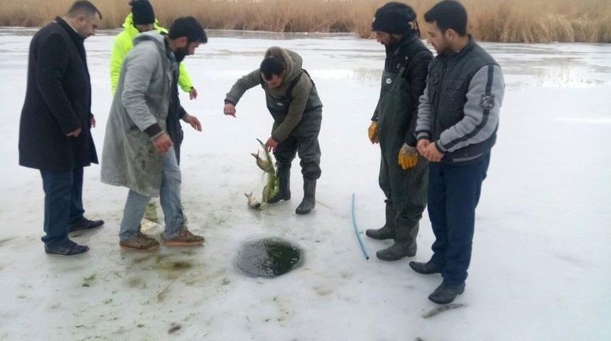 Van&rsquo;da &lsquo;eskimo&rsquo; Usul&uuml; Balık Avı