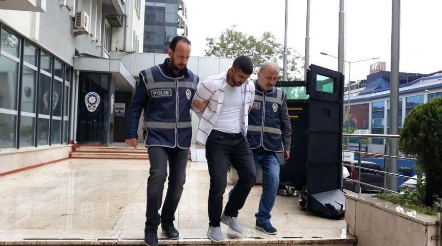 Bursa&rsquo;daki "k&ouml;stebek" Yakalandı