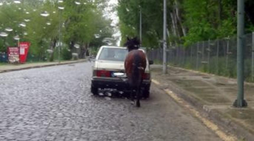 Trafikte Ata İşkence