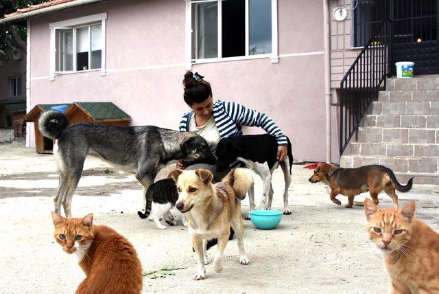 Ölen annesinin evde beslediği sokak hayvanlarının bakımını üstlendi