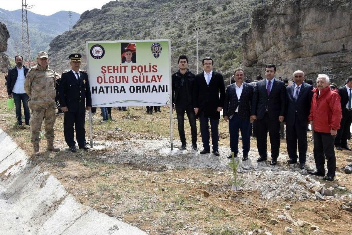 G&uuml;m&uuml;şhane&rsquo;de Şehit Polis Olgun G&uuml;lay Anısına Hatıra Ormanı Oluşturuldu