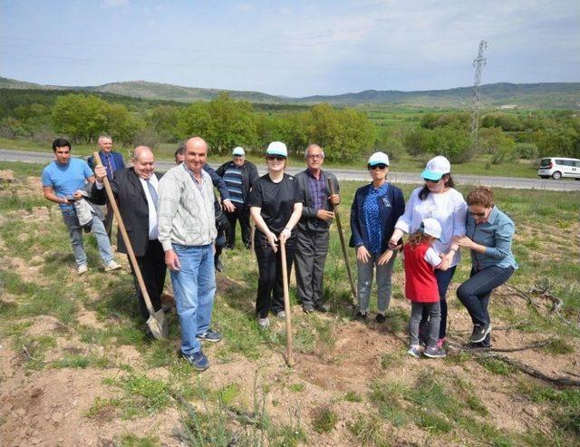 Sağlık Hatıra Ormanı’na 400 Fidan Dikildi