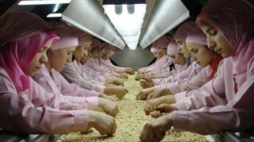 D&uuml;zce&rsquo;den Kasım Ayında 2 Bin 893 Ton İ&ccedil; Fındık İhracatı Yapıldı