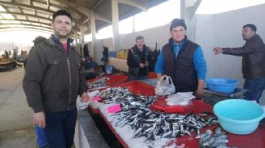 Karadeniz Hamsisi 10 Liraya D&uuml;şt&uuml;