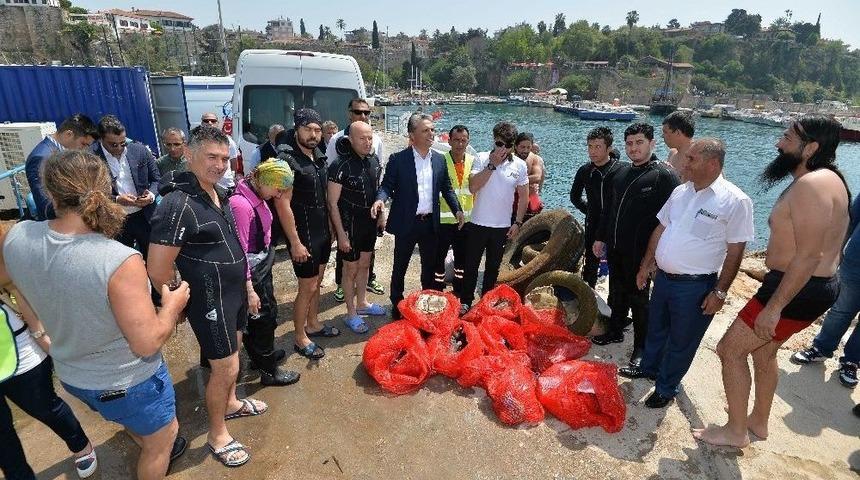 Denizden &Ccedil;ıkanlar Şok Etti