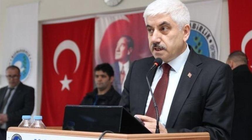 İznikli Zeytin &Uuml;reticisine 52 Milyon Tl &Ouml;deme Yapıldı