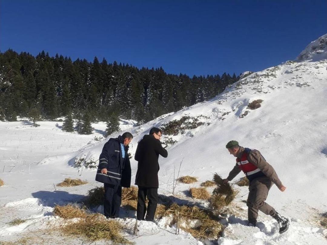 Yaban Hayvanları İ&ccedil;in Doğaya Yem Bıraktılar