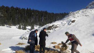 Yaban Hayvanları İçin Doğaya Yem Bıraktılar