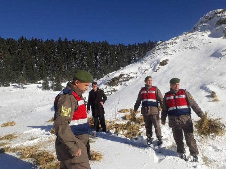 Yaban Hayvanları İçin Doğaya Yem Bıraktılar G3