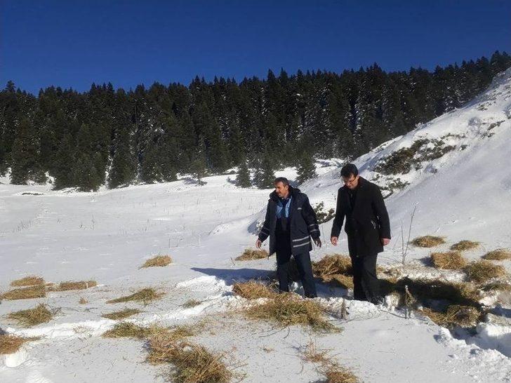 Yaban Hayvanları İçin Doğaya Yem Bıraktılar G4