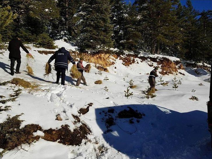 Yaban Hayvanları İçin Doğaya Yem Bıraktılar G5