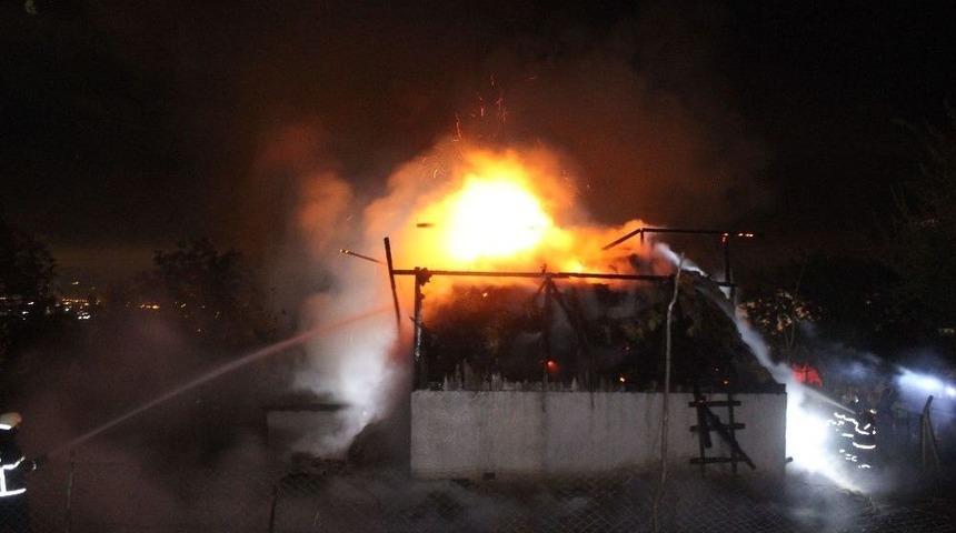 (&ouml;zel) Alev Alev Yanan Ahırdan Hayvanlar Son Anda Kurtarıldı