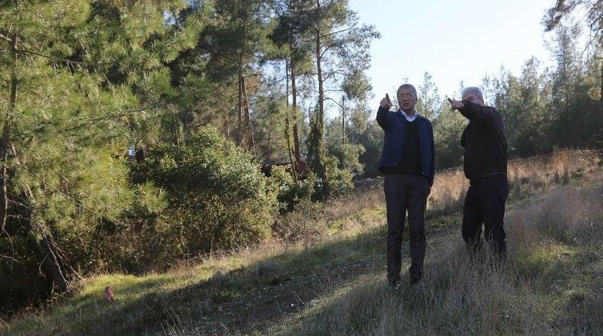 Mezitli Belediyesi, Cemilli&rsquo;de 5 D&ouml;n&uuml;m Araziyi Piknik Alanına D&ouml;n&uuml;şt&uuml;r&uuml;yor