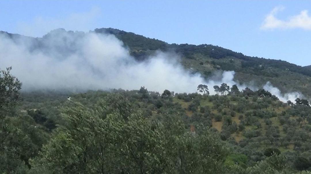Kazdağları&rsquo;nda &Ccedil;ıkan Yangın Kontrol Altına Alındı