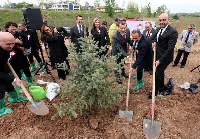 3. Turizm Şurası Hatıra Ormanı’nın İlk Fidanı Toprakla Buluştu