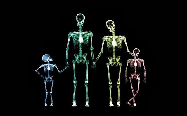 skeleton-family-1800x2880