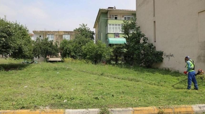 K&ouml;rfez Belediyesi&rsquo;nden Boş Arazilerde &Ccedil;evre D&uuml;zenlemesi