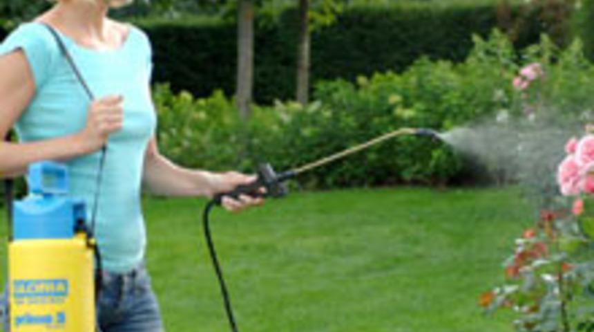 Bah&ccedil;eniz İ&ccedil;in Uzmanından &Ouml;neriler