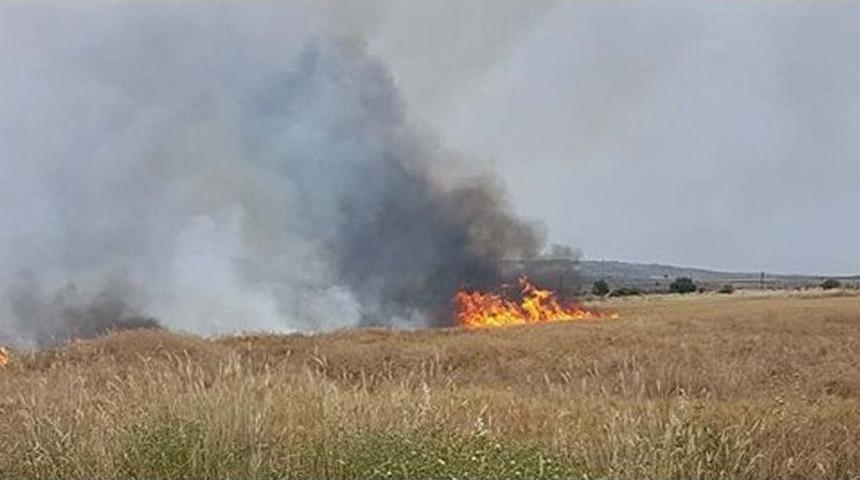 Tarlada &Ccedil;ıkan Yangında Tonlarca Buğday K&uuml;l Oldu