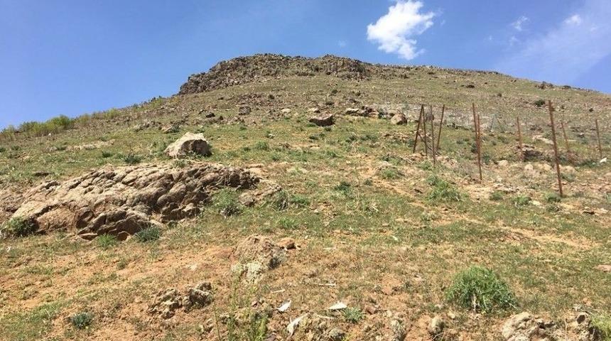 Solhan&rsquo;daki Kayalıklar İ&ccedil;in &Ouml;nlem Alınacak