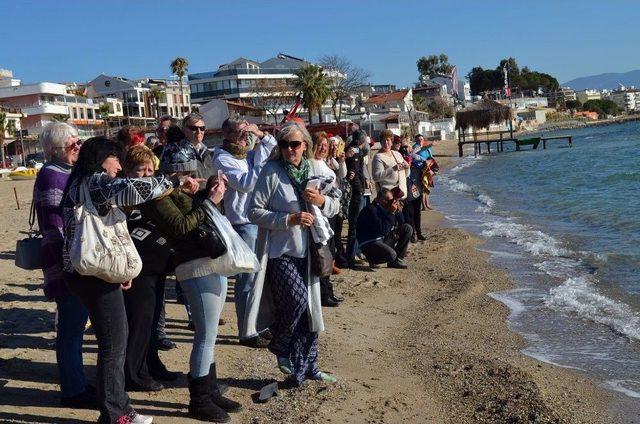 Didim’de Geleneksel “boxing Day” Etkinliği