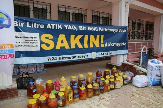 Sivas Belediyesi 91 Bin Ağacı Kesilmekten Kurtardı