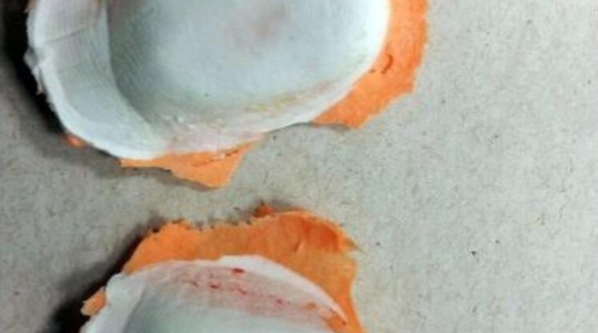 Kırşehir&rsquo;de Deaş&rsquo;li Ter&ouml;ristlerin Evinde Parmak İzi Kalıpları &Ccedil;ıktı