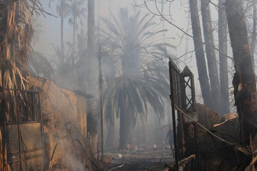 Eski Milletvekilinin &Ccedil;iftliği Yanınca Suriyeliler Sokakta Kaldı