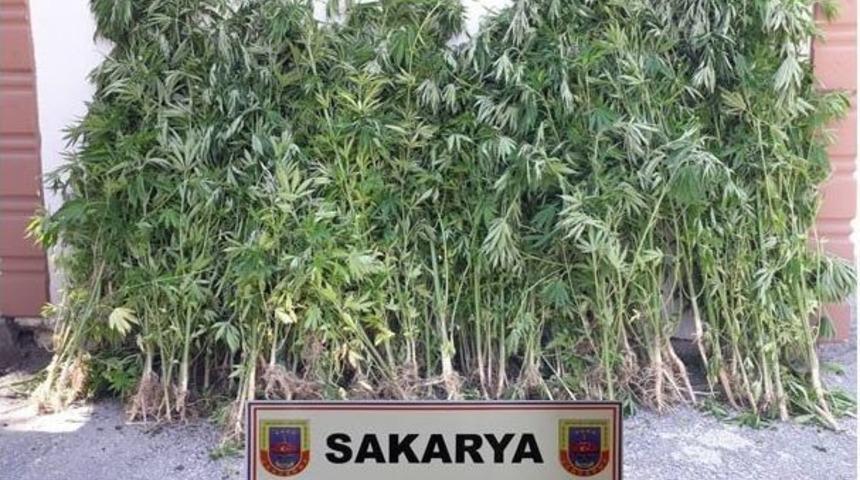 Jandarmadan Uyuşturucu Tacirlerine Bayram &Ouml;ncesi Operasyon