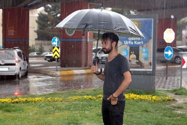 Şanlıurfa’da Sağanak Yağış Sürücülere Zor Anlar Yaşattı