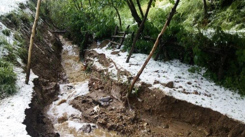 Dolu Yağışı Ekili Alanlara Zarar Verdi