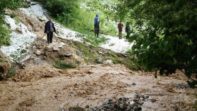 Dolu Yağışı Ekili Alanlara Zarar Verdi