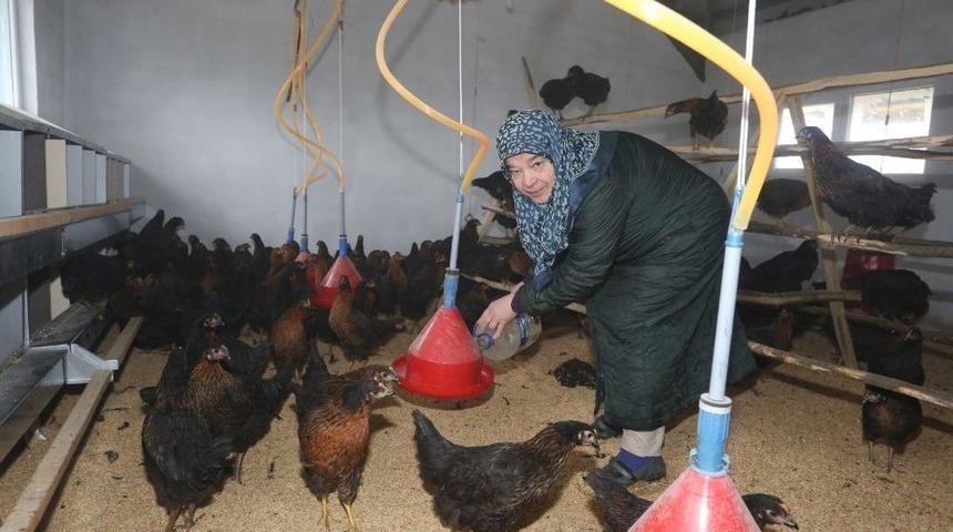 İlknur Teyze Hayalini Kurduğu İşine Kavuştu