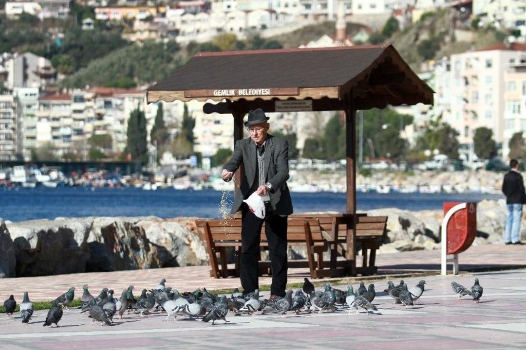 Gemlik&rsquo;in Taşınma Kararı İl&ccedil;e Halkını Sevindirdi