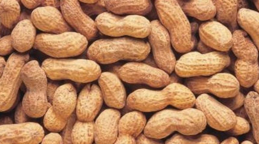 Yer Fıstığının Faydaları Nelerdir?