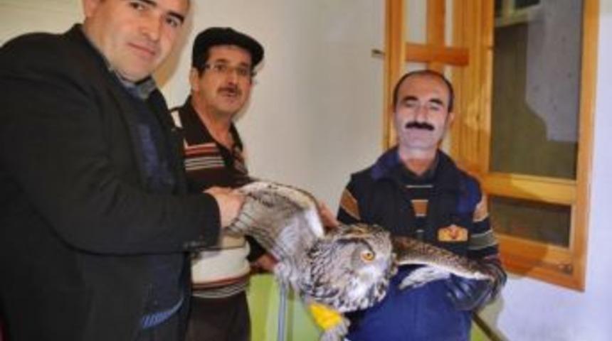 Havalandırma Boşluğuna D&uuml;şen Baykuşu İtfaiye Kurtardı