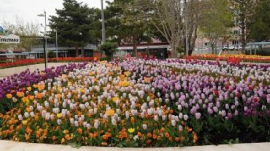 Park Ve Bahçeler Müdürlüğü Kırşehir’de Her Alanda Yenileme Çalışması Yapıyor