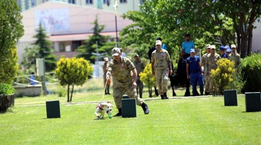 Nevşehir’de Jandarmanın 179.kuruluş Yıl Dönümü Kutlandı