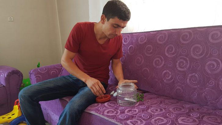 İnsan yüzlü örümcek hayrete düşürdü G3