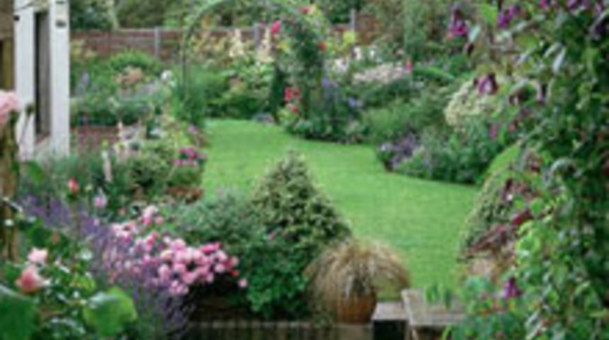 Evde Hangi Bitkileri Yetiştirebilirsiniz?