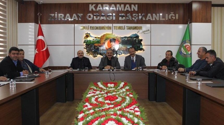 Karaman&rsquo;daki Zeytin &Uuml;reticileri İ&ccedil;in Kooperatifleşme &Ccedil;alışmaları