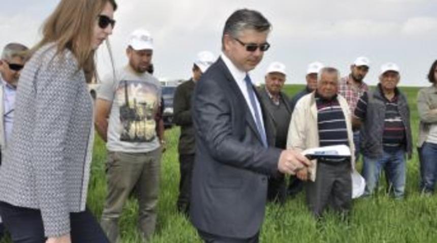 Akıllı Azotlu G&uuml;breleme Yayım Projesi Kapsamında Tarla G&uuml;n&uuml; Etkinliği