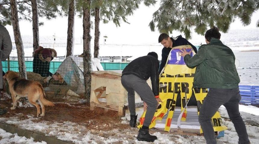 Sokak Hayvanları &Uuml;ş&uuml;mesin Diye Yapılan Kul&uuml;beler Şehrin Bir&ccedil;ok Noktasına Bırakıldı