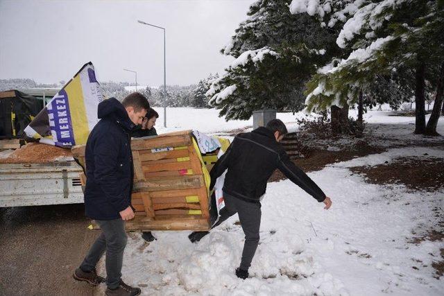 Sokak Hayvanları Üşümesin Diye Yapılan Kulübeler Şehrin Birçok Noktasına Bırakıldı