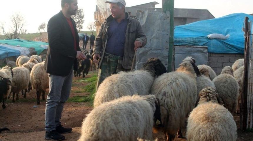 Cumhurbaşkanı Erdoğan&rsquo;ın M&uuml;jdesi Hayvancıları Sevindirdi