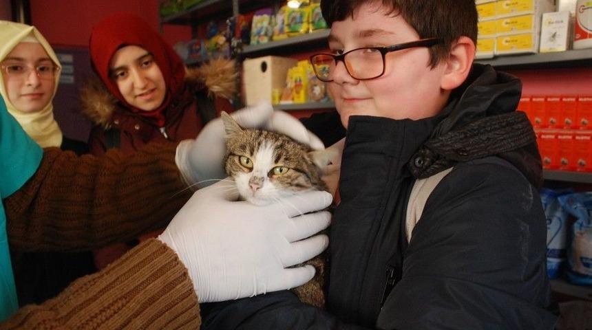 Öğrencilerden Kediye Şefkat Eli