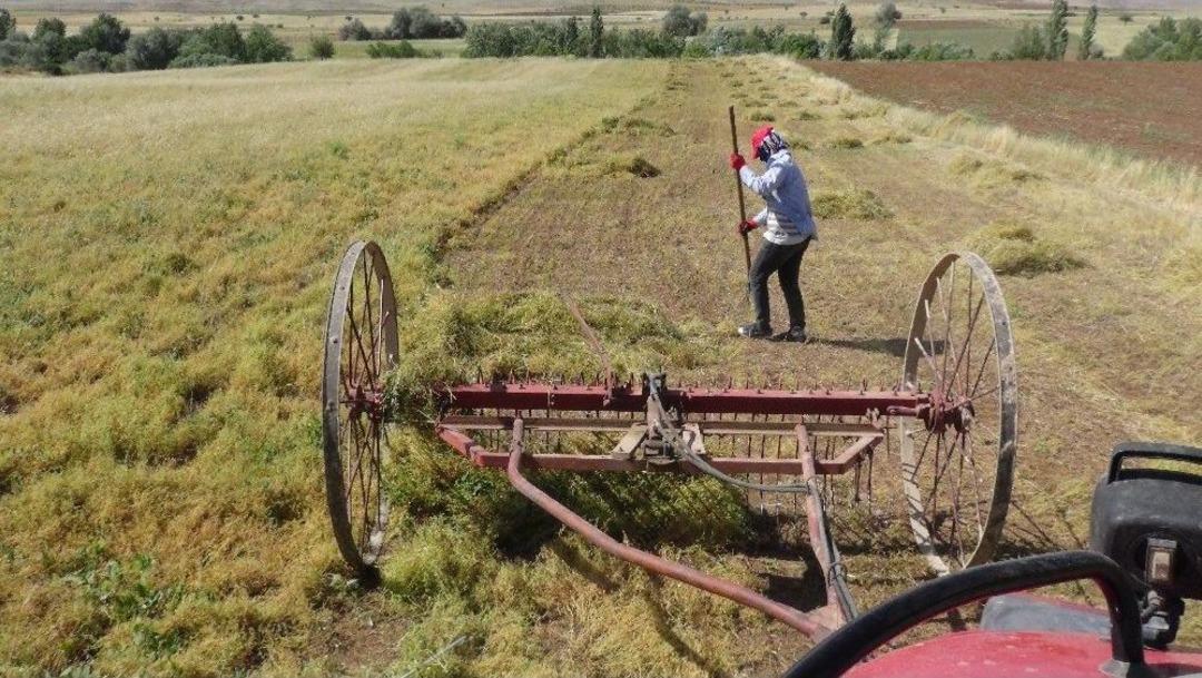 Ramazan&rsquo;da Zorlu Hasat Mesaisi